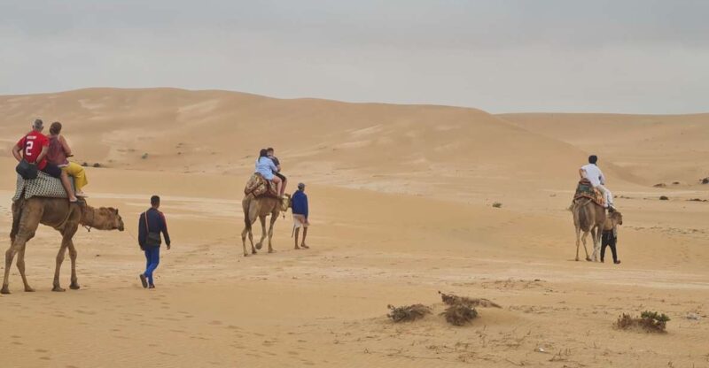 Agadir: Sahara Desert Camel Ride & Sandboarding Halfday Trip - Camel Riding Experience