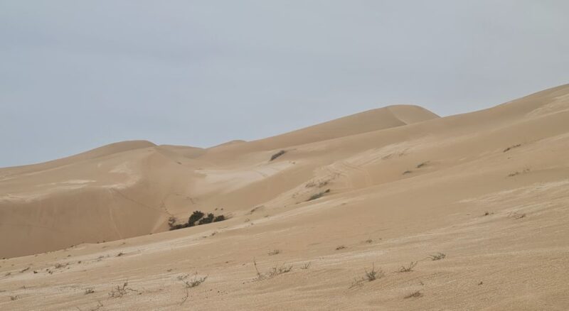 Agadir: Sahara Desert Camel Ride & Sandboarding Halfday Trip - Cultural Immersion