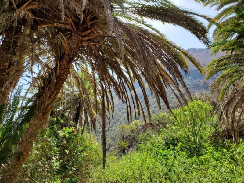 Agadir: Sahara Desert & Paradise Valley + Camel Ride & Lunch - Key Stops