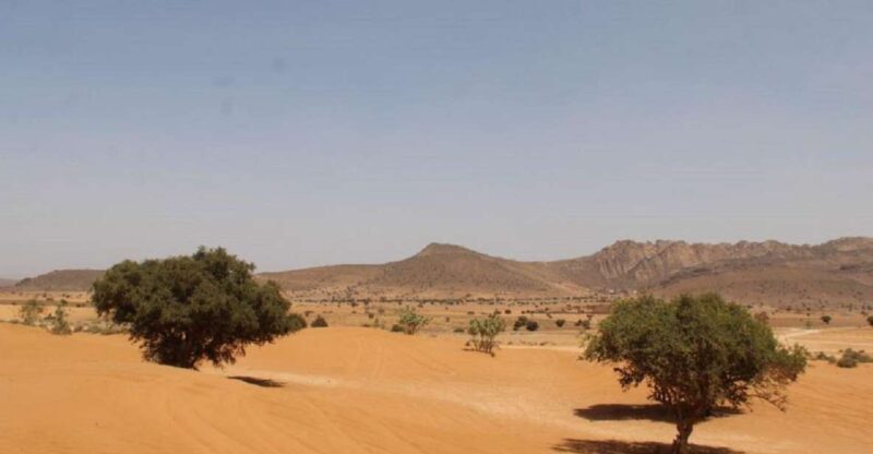 Agadir: Sahara Desert & Tiznit Medina Privet Tour & Lunch - Preparation and Recommendations