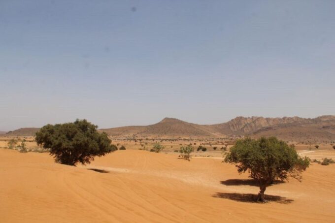 Agadir: Sahara Desert & Tiznit Medina Privet Tour & Lunch - Pickup and Drop-off Locations