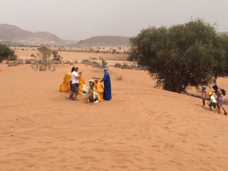 Agadir Sahara Desert Trip With Lunch And Camel Trek - Itinerary Details