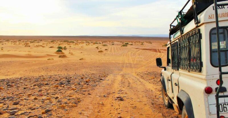 Agadir Sahara Desert Trip With Lunch And Camel Trek - Language Options