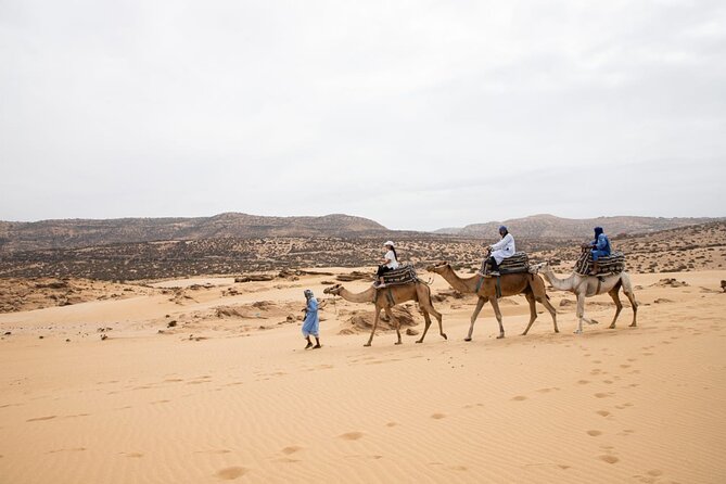 Agadir Sand Dunes and Camel Ride in Tifnit With Lunch - Berber Restaurant Lunch