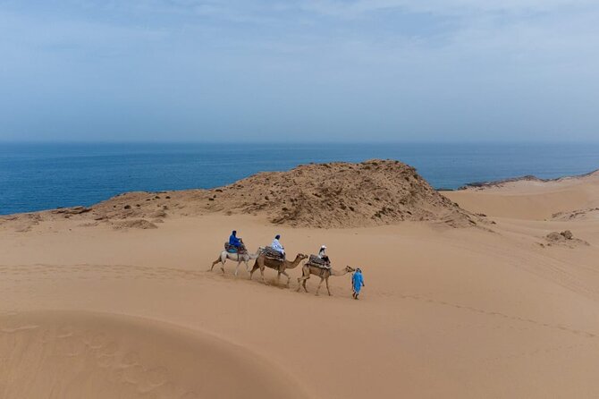 Agadir Sand Dunes and Camel Ride in Tifnit With Lunch - Moroccan Tea and Fruits