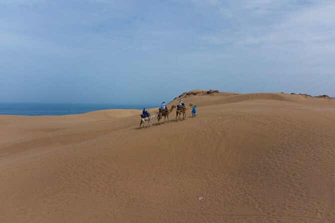 Agadir Sand Dunes and Camel Ride in Tifnit With Lunch - Tour Accessibility and Limitations