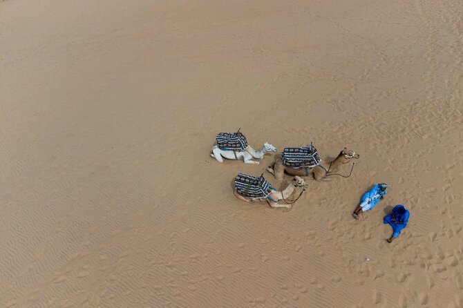Agadir Sand Dunes and Camel Ride in Tifnit With Lunch - Inclusions and Exclusions