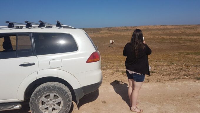 Agadir: Souss National Park Wildlife Half-Day Tour - Frequently Asked Questions