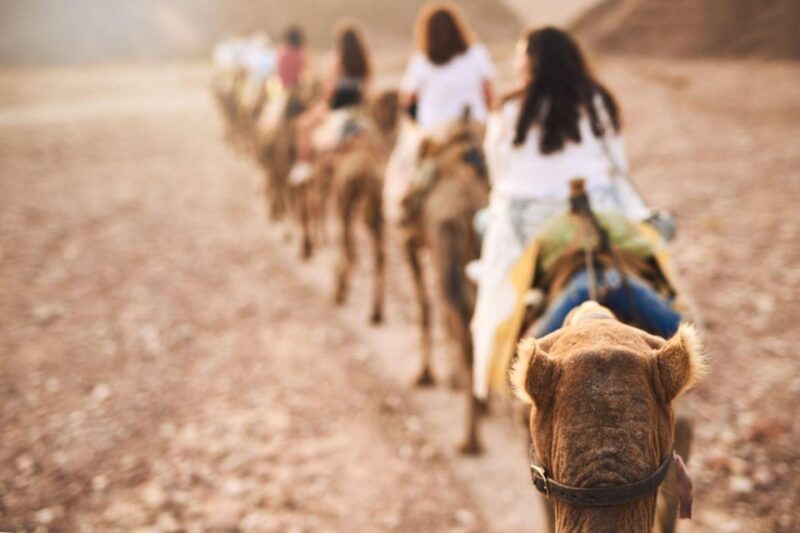 Agadir: Sunset Camel Ride - Flamingo River - Key Points