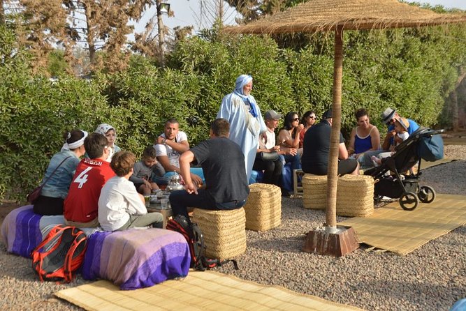 Agadir Sunset Camel Ride With Delicious Couscous & Barbecue - Ratings and Accolades
