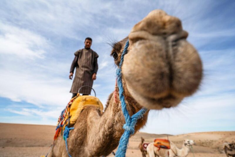 Agadir: Sunset Camel Ride With Dinner - Activity Overview