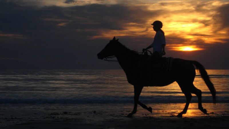 Agadir: Sunset Camel Ride With Dinner - Inclusions