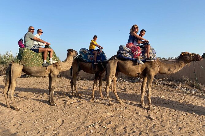 Agadir Sunset Camel Ride With Moroccan Barbecue & Hotel Transfers - Reviews
