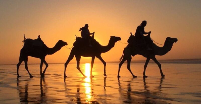 Agadir: Sunset Camel Riding Experience And Relaxing Massage - Key Points