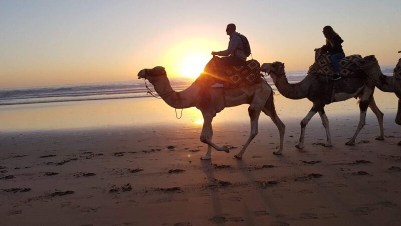 Agadir: Sunset Camel Riding Experience And Relaxing Massage - Moroccan Hammam Spa Treatment