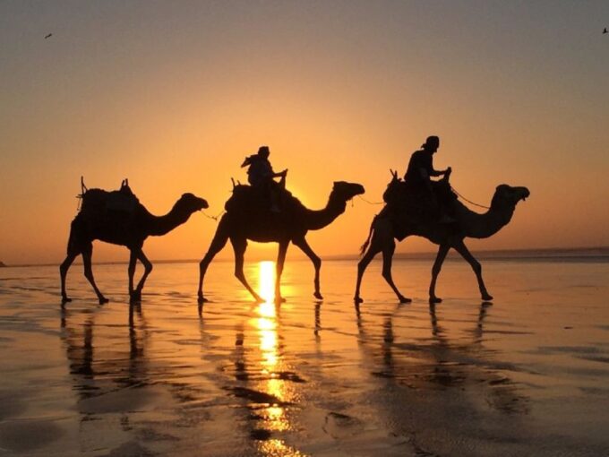 Agadir: Sunset Camel Riding Experience And Relaxing Massage - Customer Feedback and Ratings