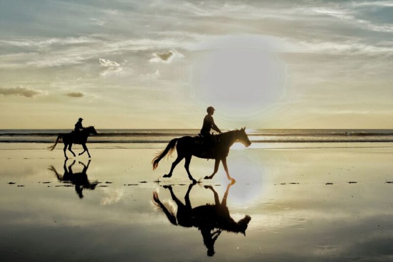 Agadir: Sunset Horse Riding Experience And Relaxing Massage - Horse Riding Details