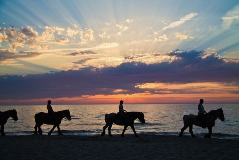 Agadir: Sunset Horse Riding Experience And Relaxing Massage - Transportation and Logistics