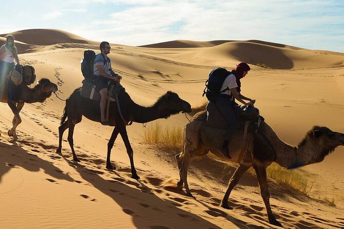 Agadir Sunset on Camel Ride With Barbecue - Additional Considerations