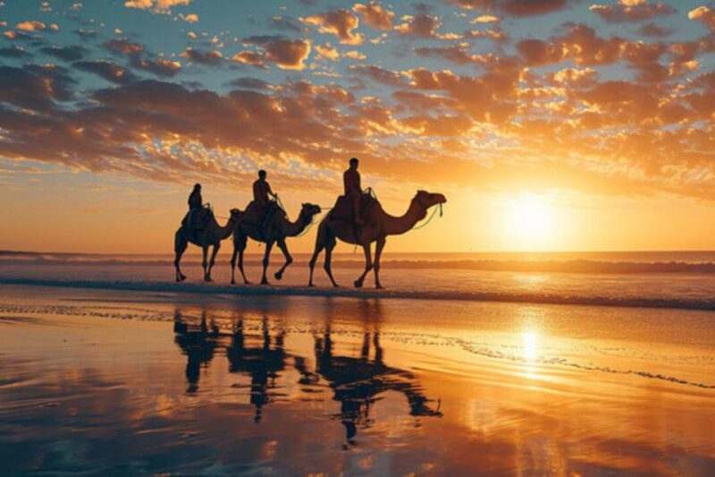 Agadir/Taghazout: Camel Ride on the Beach - Key Points
