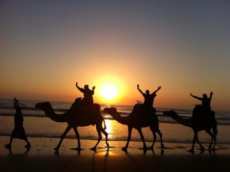 Agadir/Taghazout: Camel Ride on the Beach - Experience Highlights