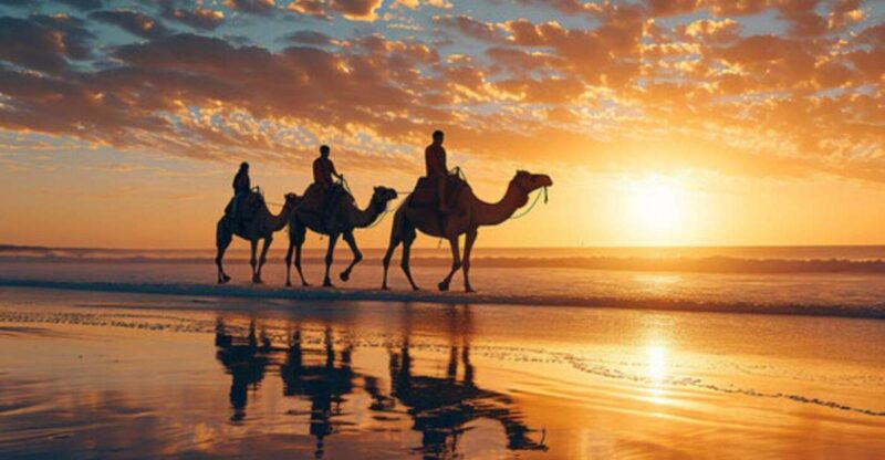 Agadir/Taghazout: Camel Ride on the Beach - Itinerary Details