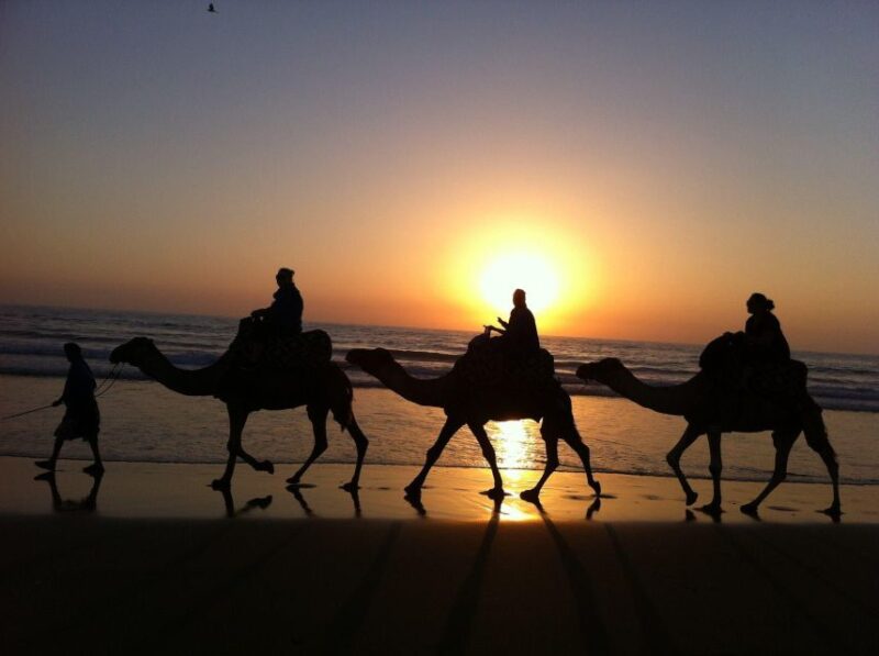 Agadir/Taghazout: Camel Ride on the Beach - Cancellation Policy