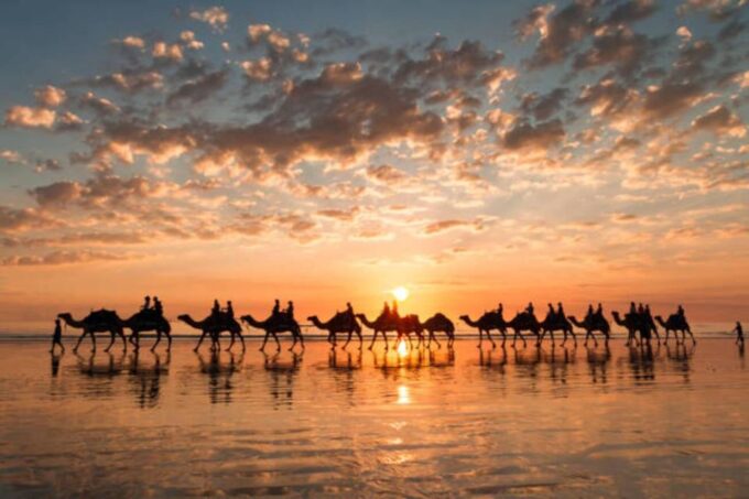 Agadir/Taghazout: Camel Ride on the Beach - Pickup and Drop-off