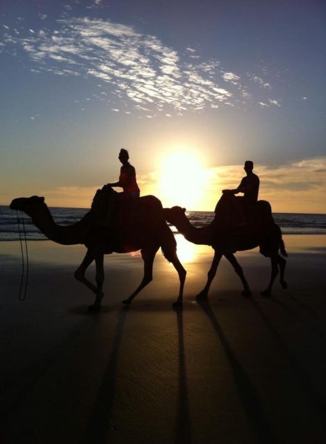 Agadir/Taghazout: Camel Ride on the Beach - Available Languages