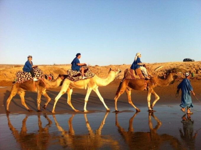 Agadir/Taghazout: Camel Ride on the Beach - Customer Feedback