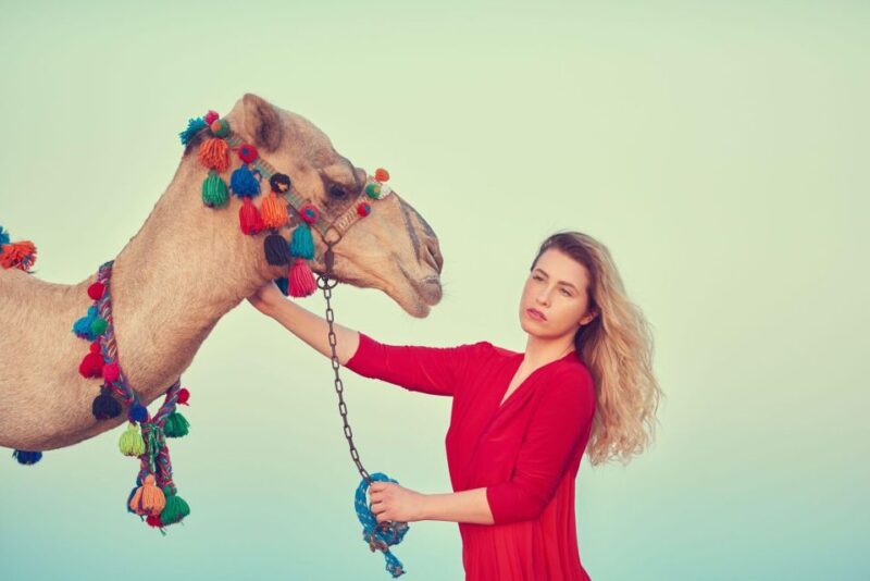 Agadir/Taghazout: Camel Riding and Flamingo River Tour - Key Points