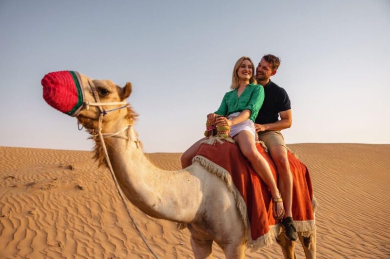 Agadir/Taghazout: Camel Riding and Flamingo River Tour - Activity Highlights
