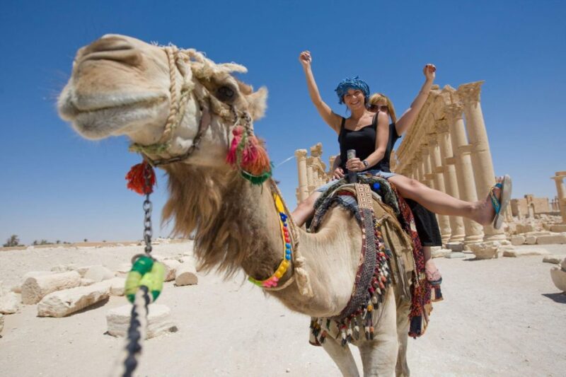 Agadir/Taghazout: Camel Riding and Flamingo River Tour - Included in the Experience