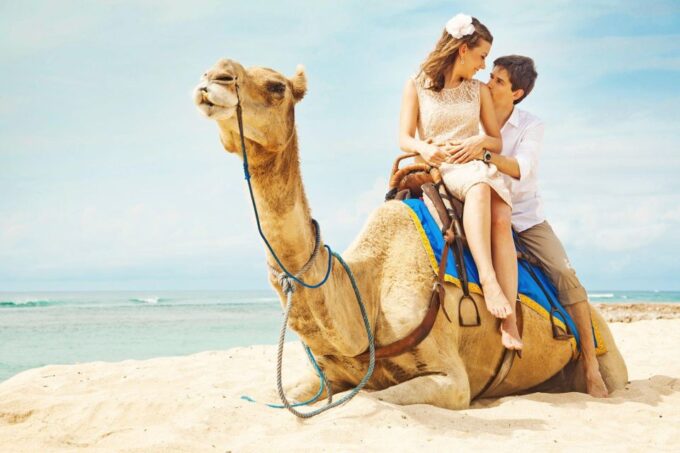 Agadir/Taghazout: Camel Riding and Flamingo River Tour - Location and Duration