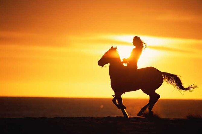 Agadir/Taghazout Horse Ride on the Beach - Key Points