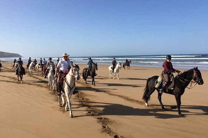 Agadir/Taghazout Horse Ride on the Beach - Horse Quality and Care