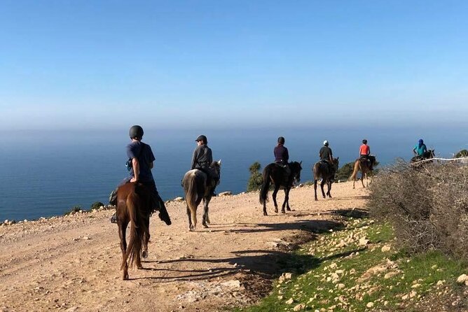 Agadir/Taghazout Horse Ride on the Beach - Guide Expertise and Professionalism