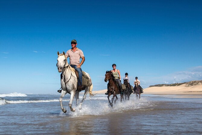 Agadir/Taghazout Horse Ride on the Beach - Traveler Feedback and Ratings