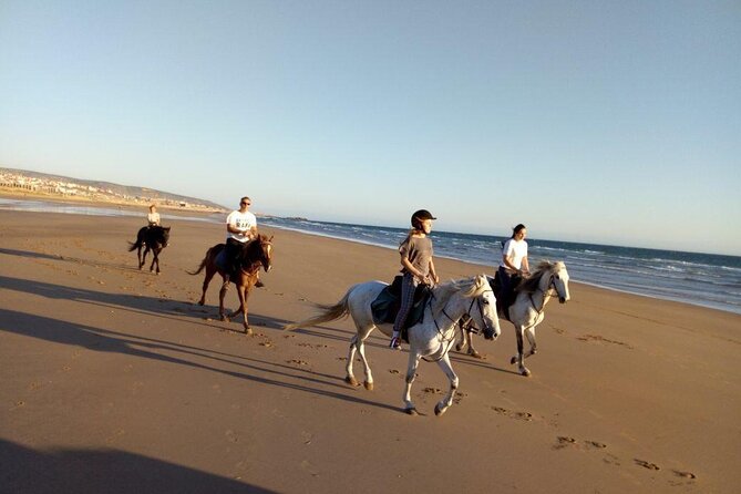 Agadir/Taghazout Horse Ride on the Beach - Additional Important Details