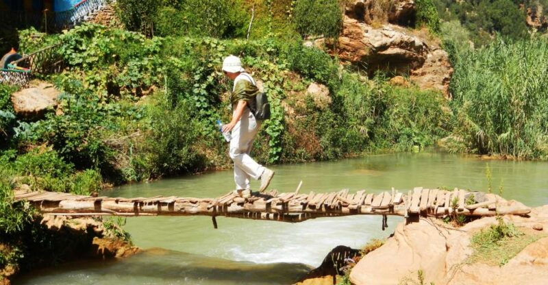 Agadir Taghazout or Port : Paradise Valley & Lunch - Key Points