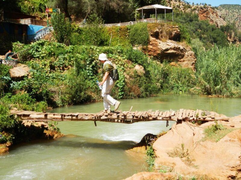 Agadir Taghazout or Port : Paradise Valley & Lunch - Itinerary Details
