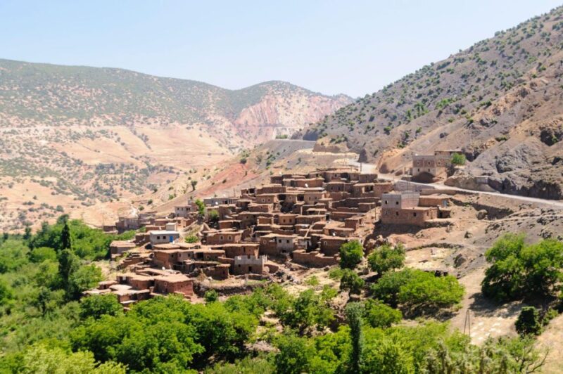 Agadir Taghazout or Port : Paradise Valley & Lunch - Customer Reviews
