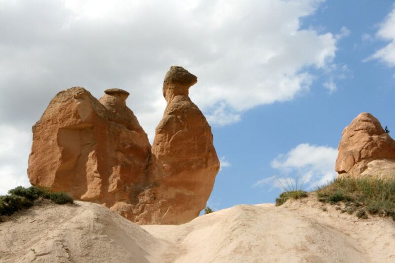 Agadir & Taghazout: Paradise Valley Atlas Mountain & Lunch - Customer Reviews and Ratings