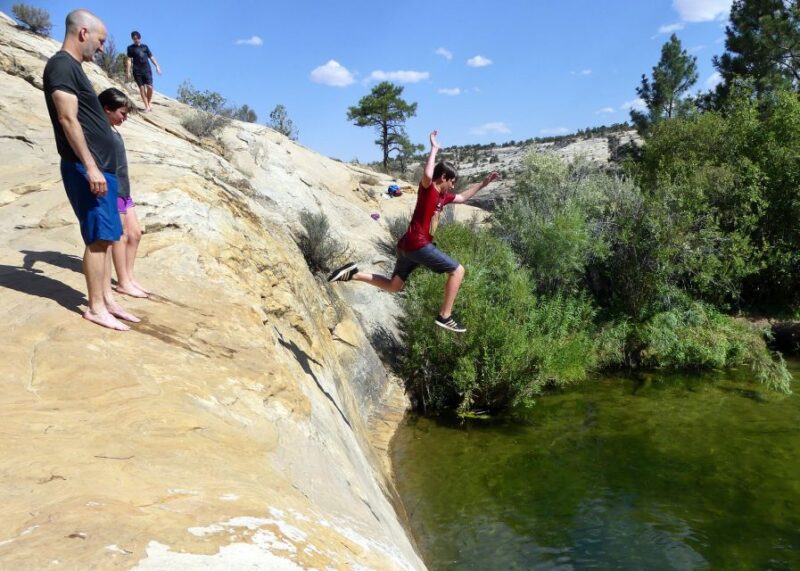 Agadir Taghazout: Paradise Valley Atlas Mountain & Swimming - Booking Information
