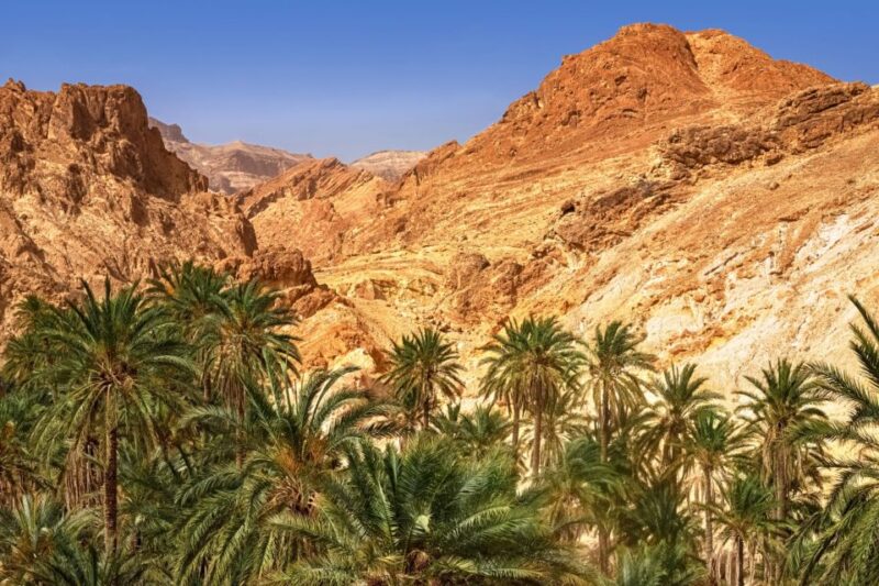 Agadir Taghazout: Paradise Valley Swimming Atlas Mountain - Customer Ratings and Feedback