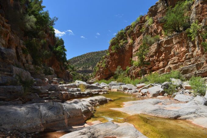 Agadir Taghazout: Paradise Valley Swimming Atlas Mountain - Languages Offered