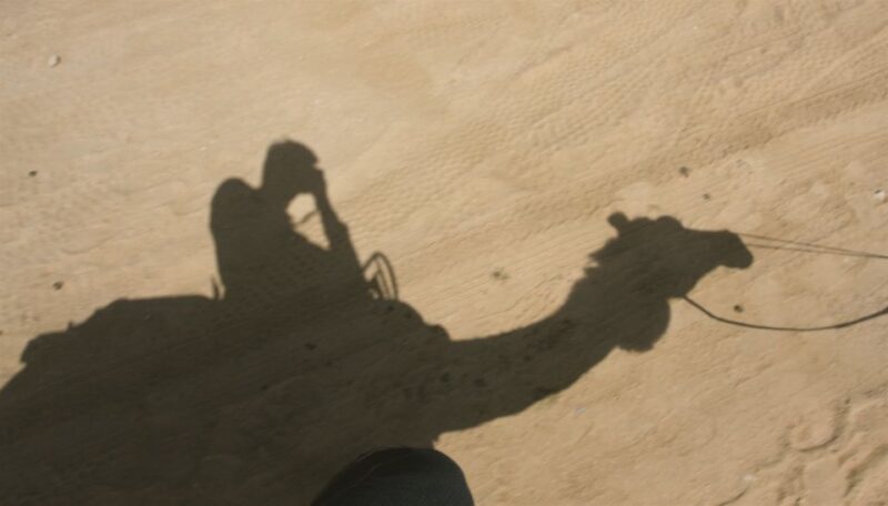 Agadir/Taghazout/Port: Camel Ride Tea & BBQ Option - Key Points