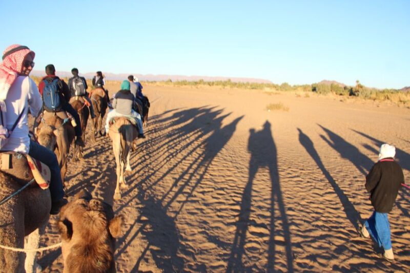 Agadir/Taghazout/Port: Camel Ride Tea & BBQ Option - Highlights of the Experience