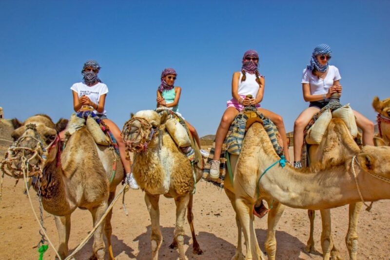 Agadir/Taghazout/Port: Camel Ride Tea & BBQ Option - Inclusions and Exclusions