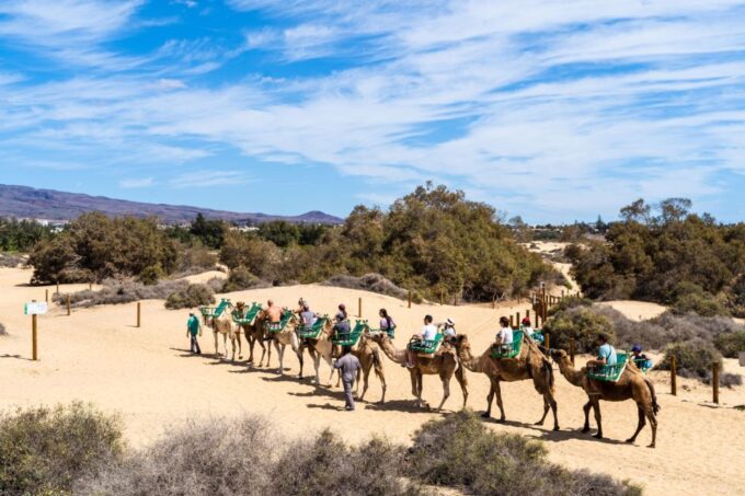 Agadir/Taghazout/Port: Camel Ride Tea & BBQ Option - Availability and Schedule